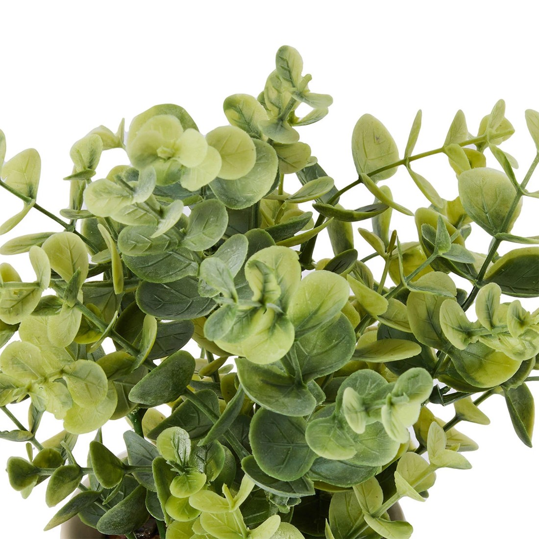 3 Artificial Dollar Gum Eucalyptus in Pot, 3 of 6