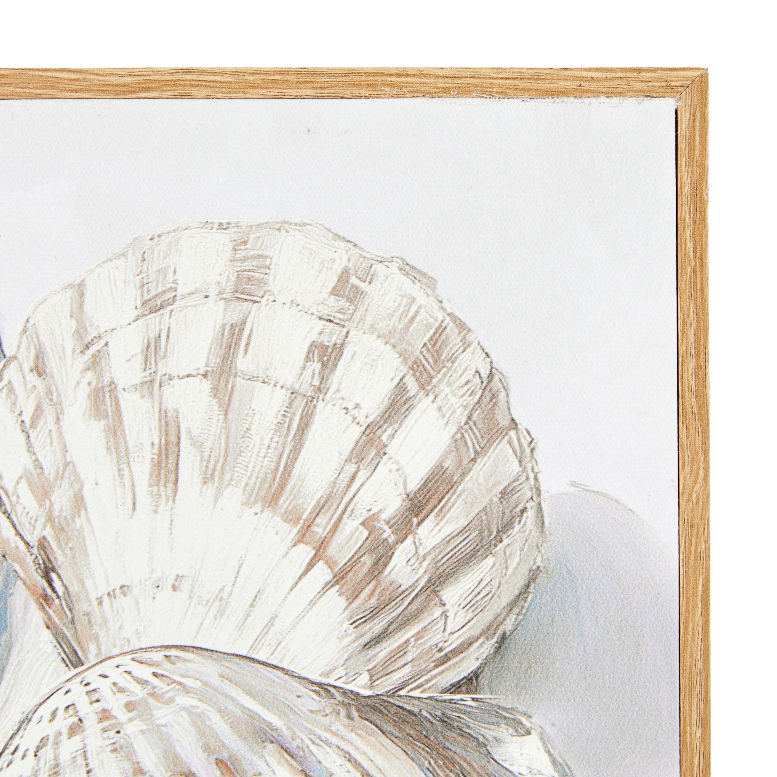 2 Shells Framed Canvas, 2 of 5
