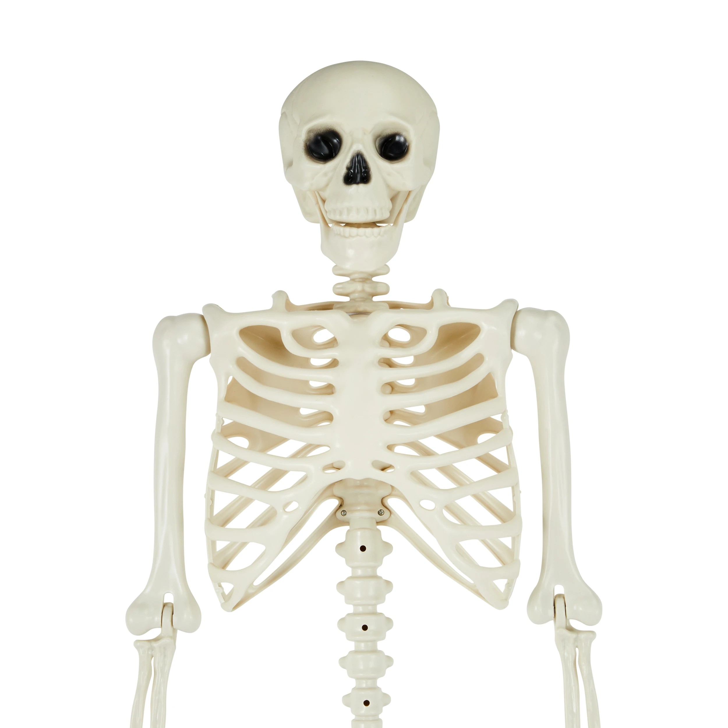 4 Posable Skeleton, 4 of 6