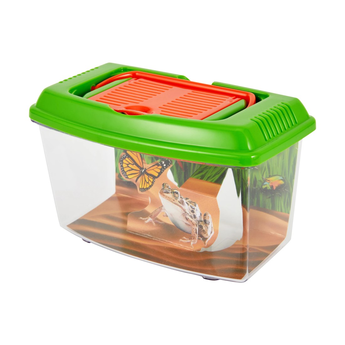 3 Bug Explorer Activity Set, 3 of 10