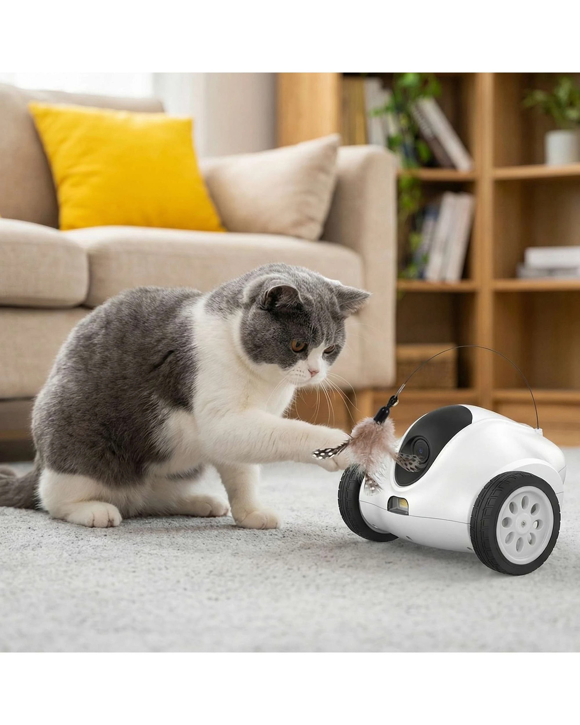 2 Advwin Pet Robot Camera with Interactive Teaser Pet Camera Home Security, 2 of 7