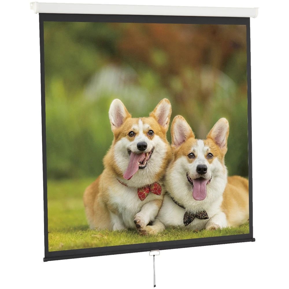 8 Brateck 80" 1:1 Auto-Lock Manual Projector Screen, 8 of 9
