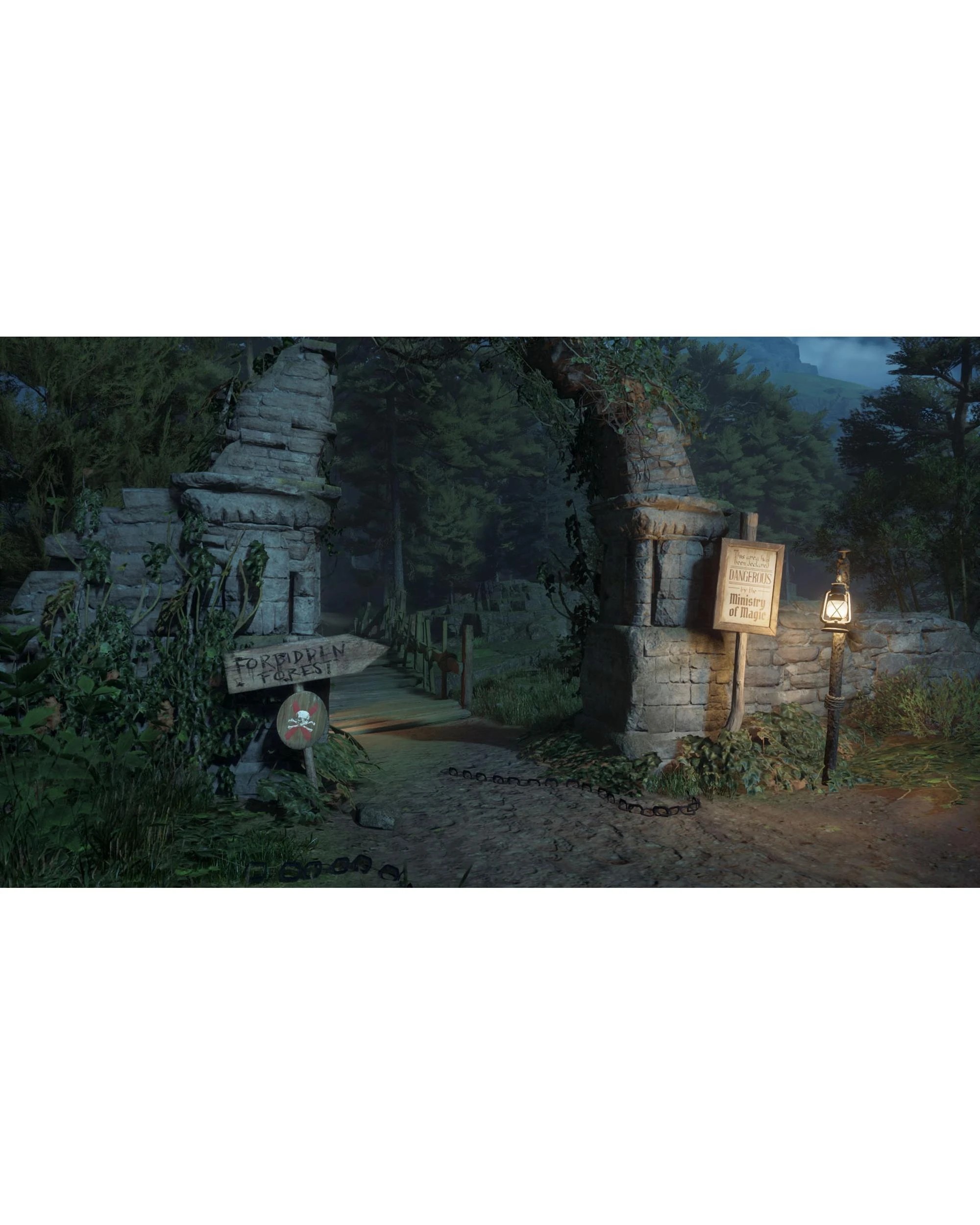 9 Hogwarts Legacy - Switch 2, 9 of 10