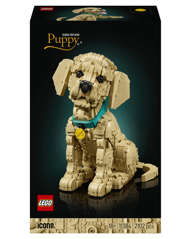 LEGO Icons Golden Retriever Puppy 1