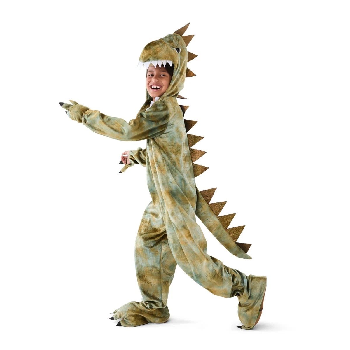 1 Dinosaur Costume - Ages 6-8, 1 of 10