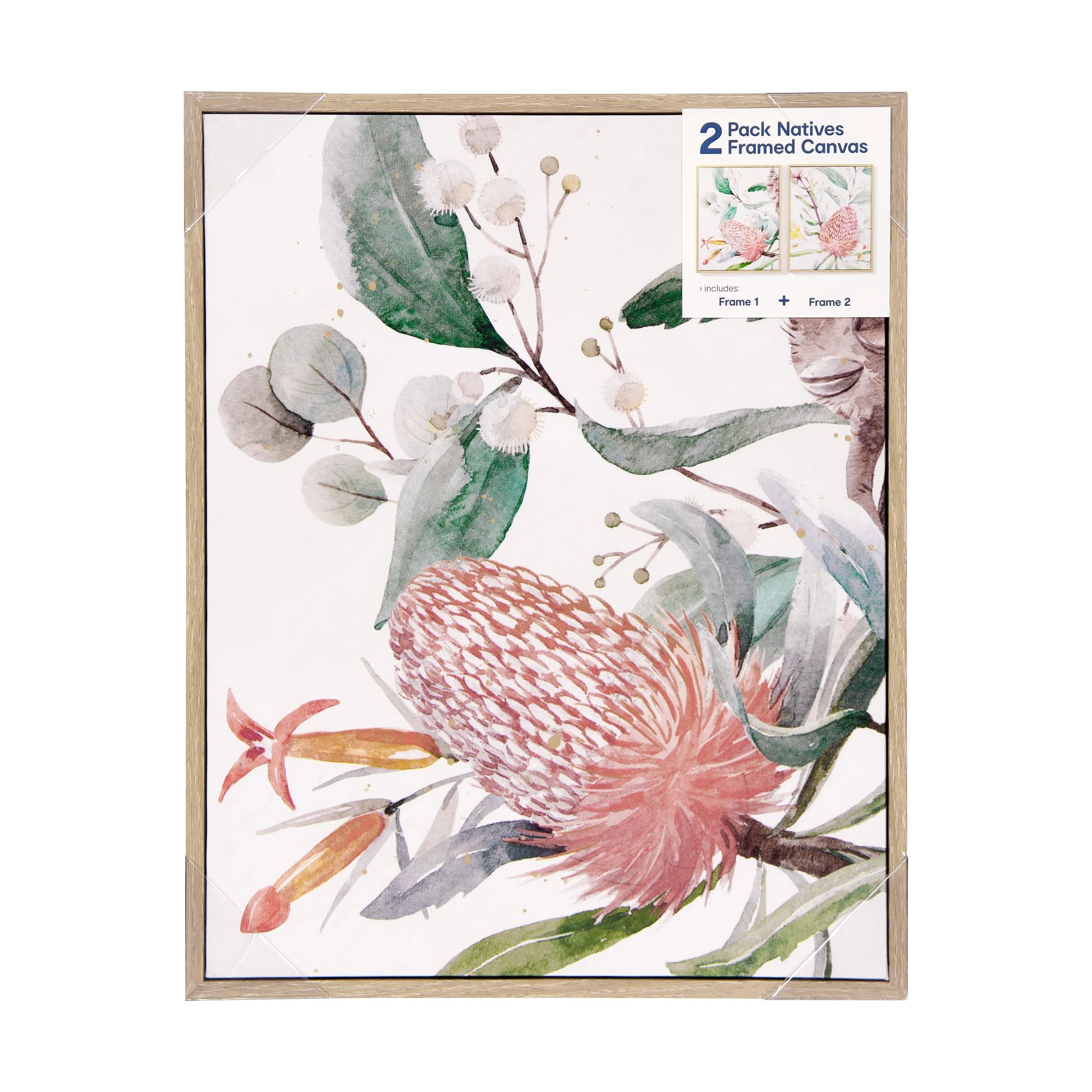 7 2 Pack Natives Framed Canvas, 7 of 7