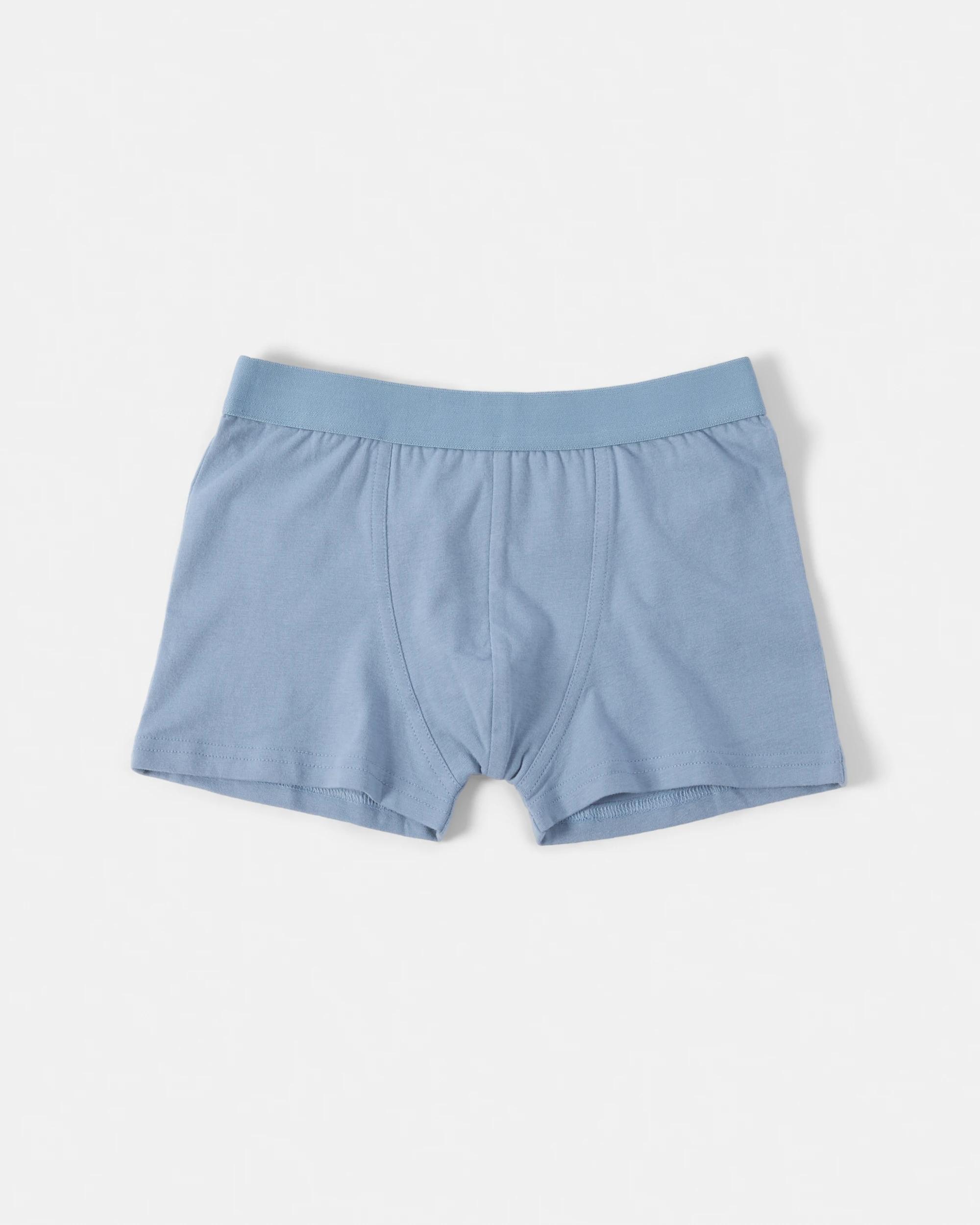 4 5 Pack Print Trunks Dino Multi, 4 of 7