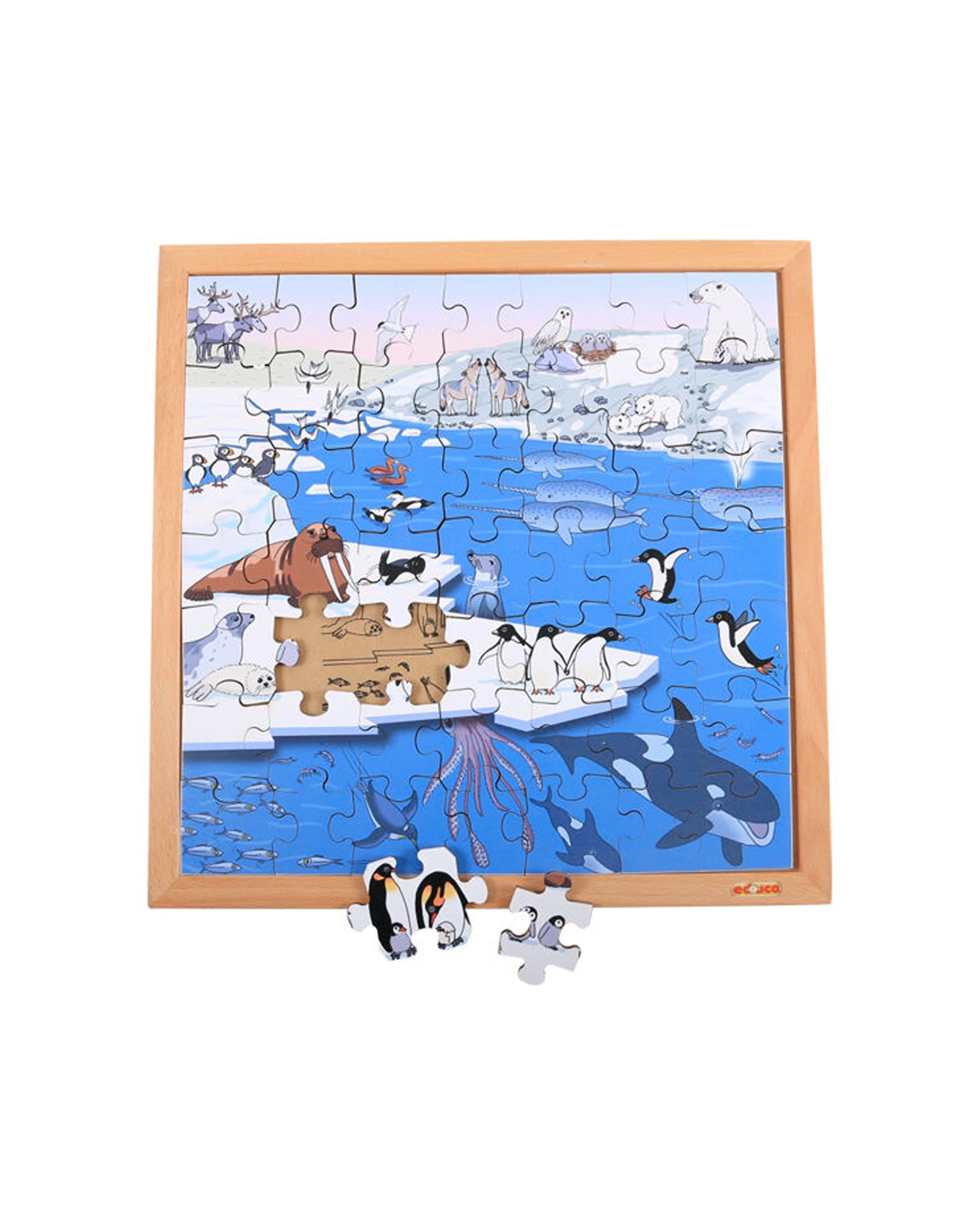 1 EDUCO Vocabulary Puzzle Polar Areas - Wooden - 49 Piece - Kids Educational - Multi, 1 of 3