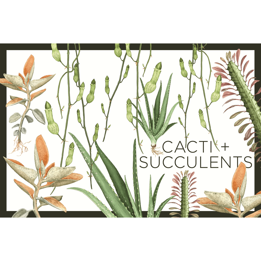 10 Plantopedia: The Definitive Guide to Houseplants by Lauren Camilleri and Sophia Kaplan - Book, 10 of 10