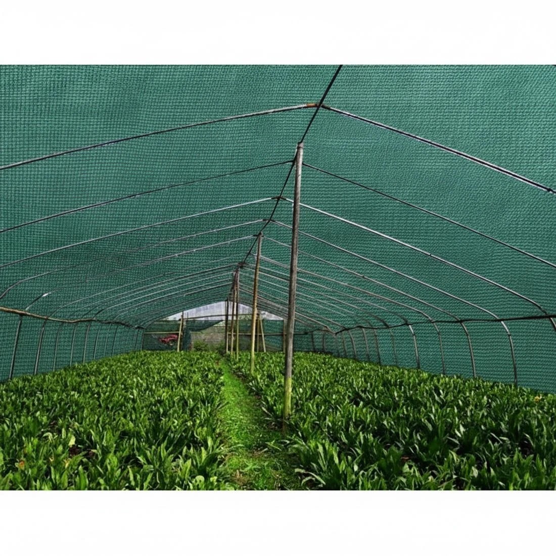4 Instahut 30% Shade Cloth 3.66x30m Shadecloth Wide Heavy Duty - Green, 4 of 5