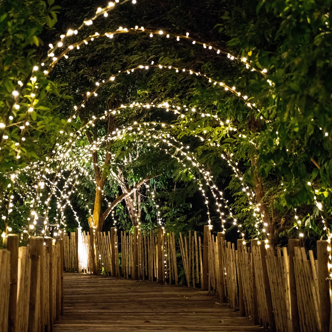 4 LumiFx 200 LED Wifi Smart String Lights 8 Lighting Effects 10 Metres Warm - Clear, 4 of 4