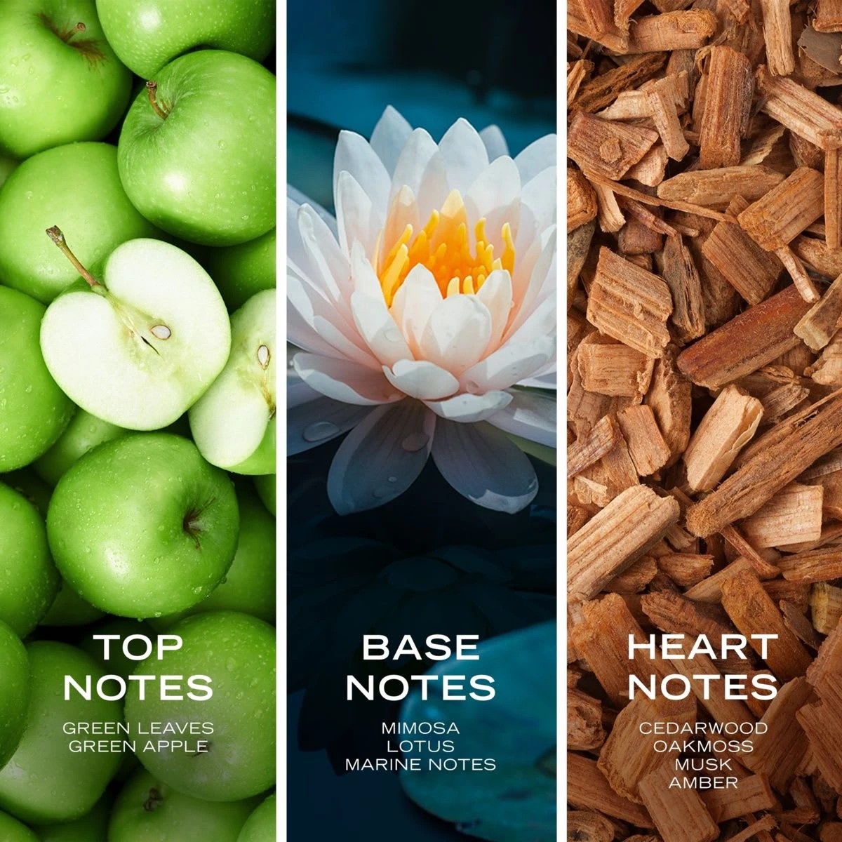 3 Nautica Voyage Eau De Toilette Spray 100ml, 3 of 4