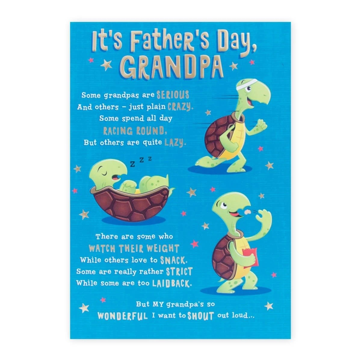 3 Hallmark Father's Day Card for Grandpa - Tortoises, 3 of 3