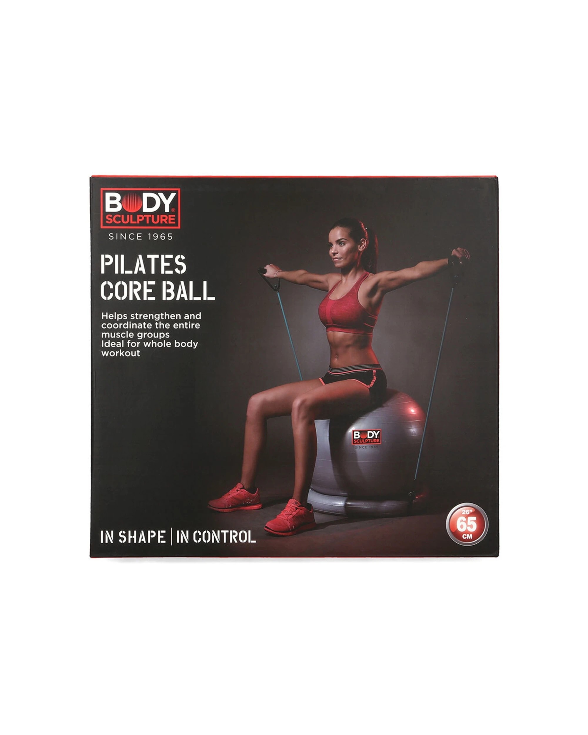 2 Body Sculpture Gym Ball Set 65cm With Cushioned Base Bungee Cords And Pump - Silver, 2 of 3