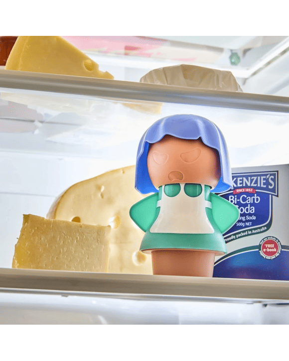 Fridge Deodoriser
