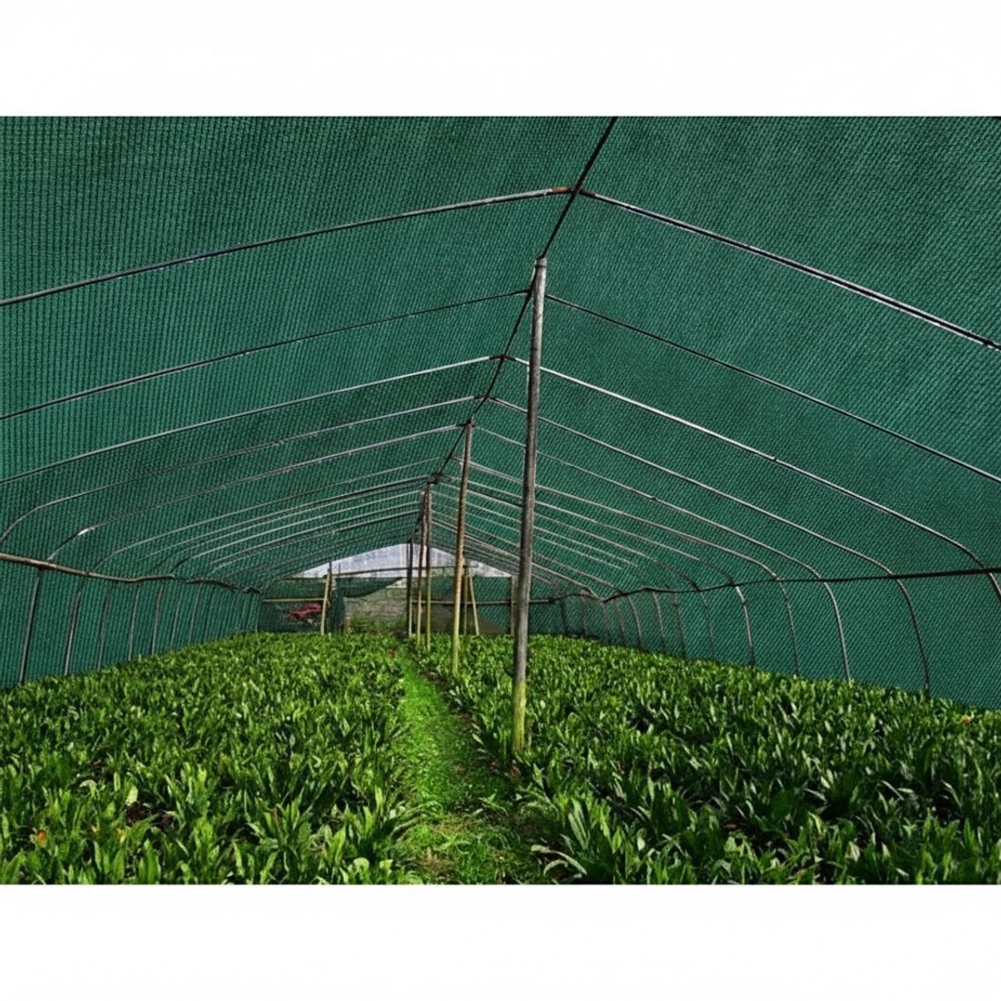 4 Instahut 50% Shade Cloth 1.83x30m Shadecloth Sail Heavy Duty - Green, 4 of 5