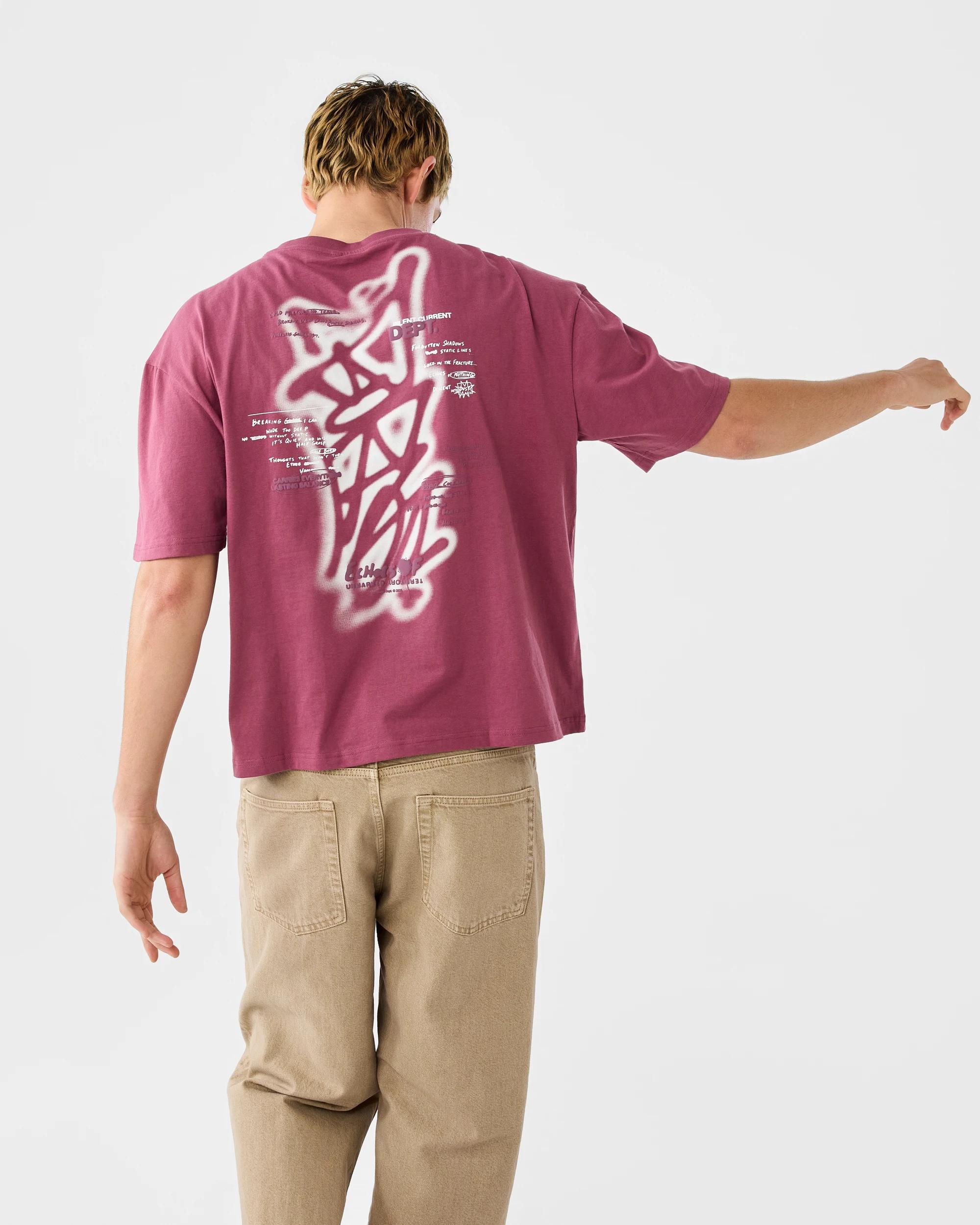 9 Boxy Print T-shirt Red Graffi, 9 of 9