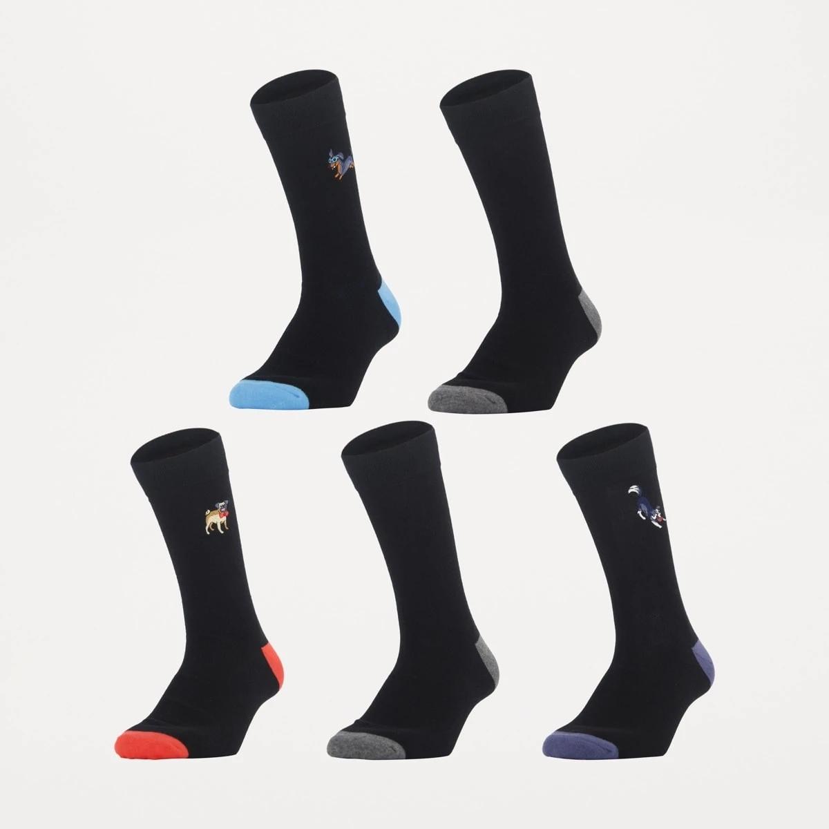 1 5 Pack Embroidered & Plain Socks Dog Run, 1 of 4