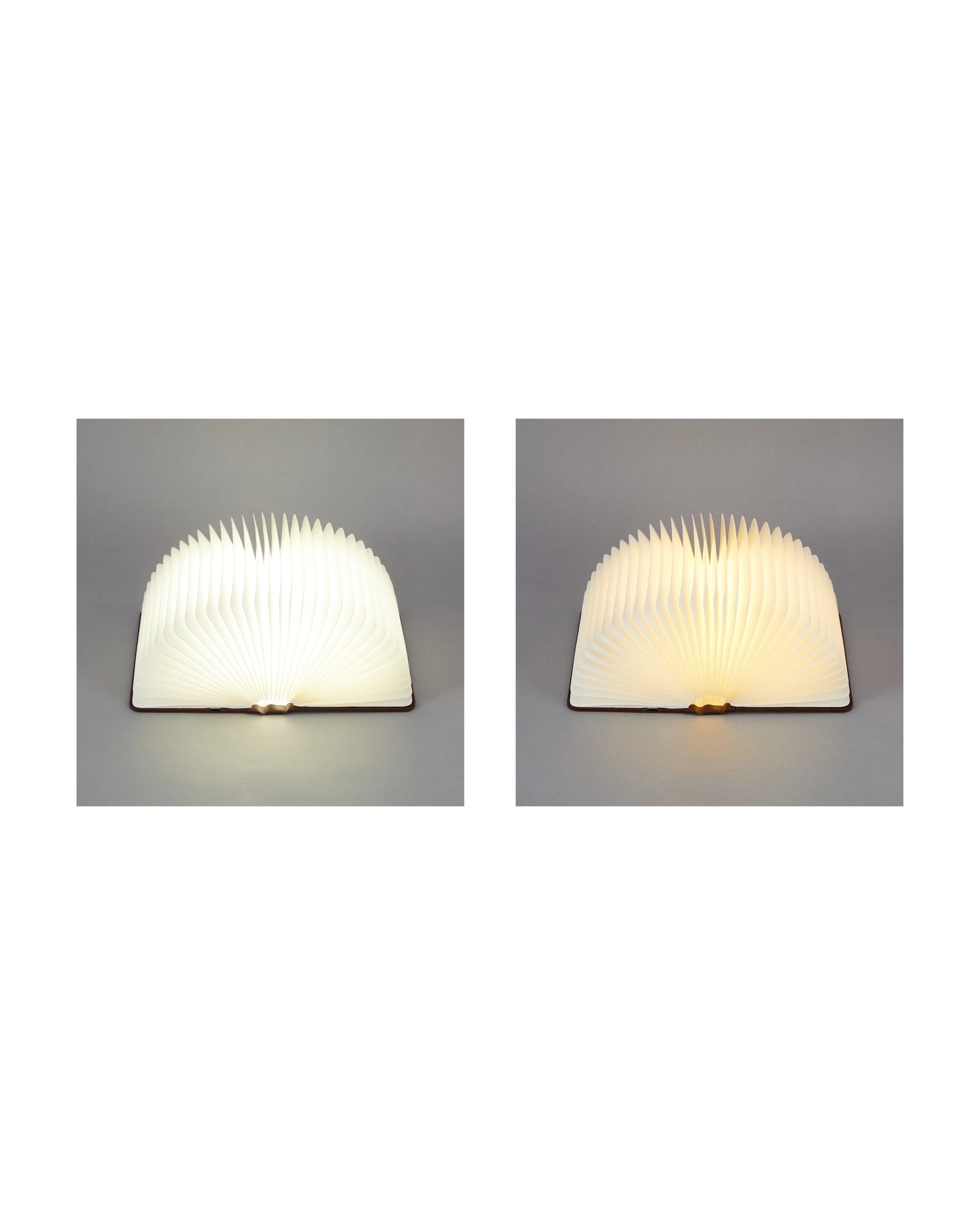1 Foldout Book Lamp, 1 of 7