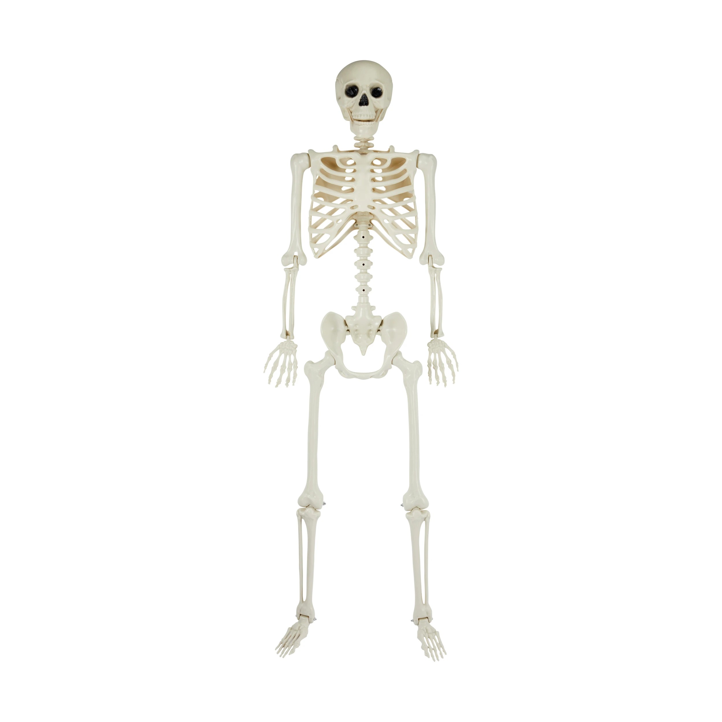1 Posable Skeleton, 1 of 6