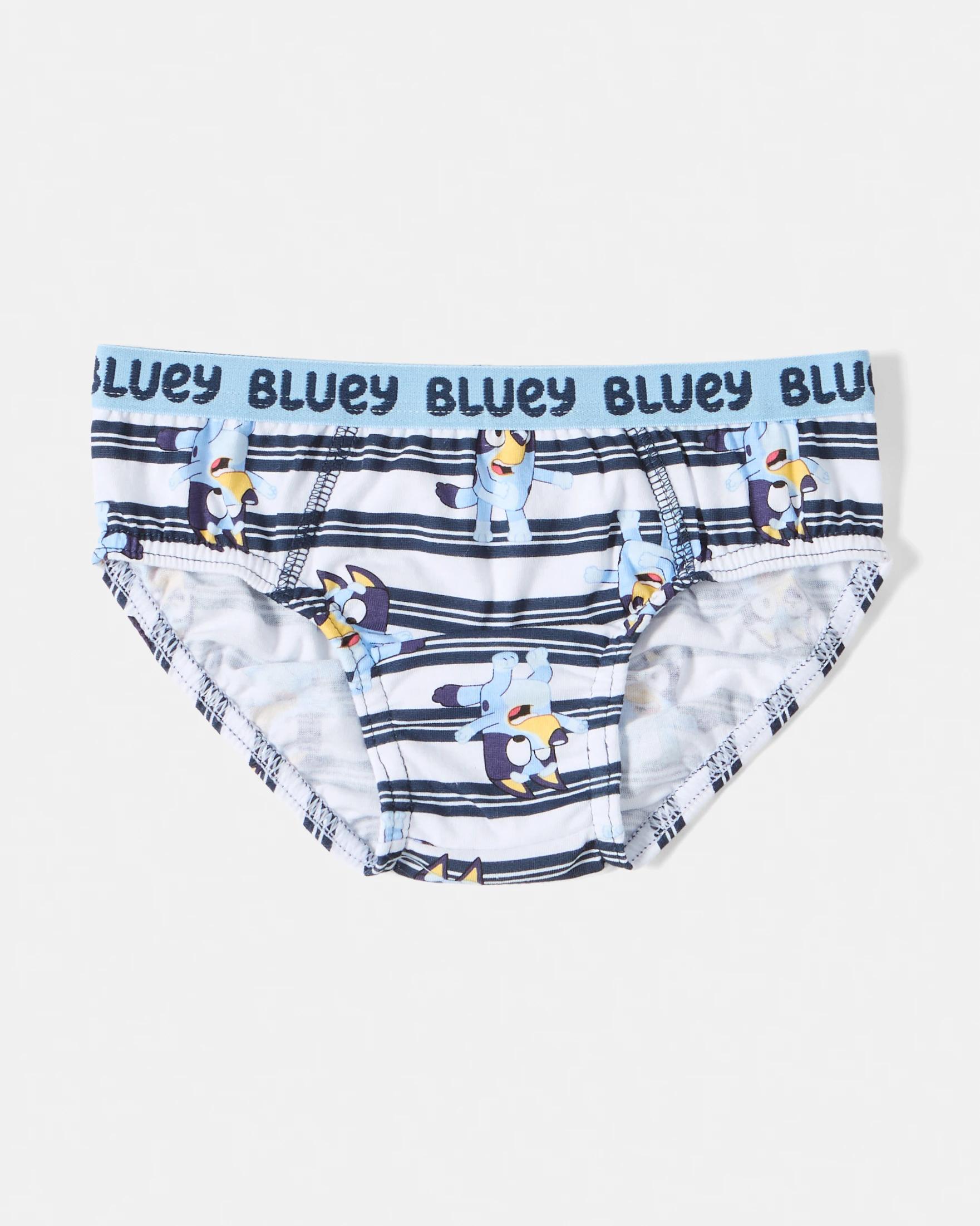 5 4 Pack Bluey License Briefs Bluey, 5 of 7