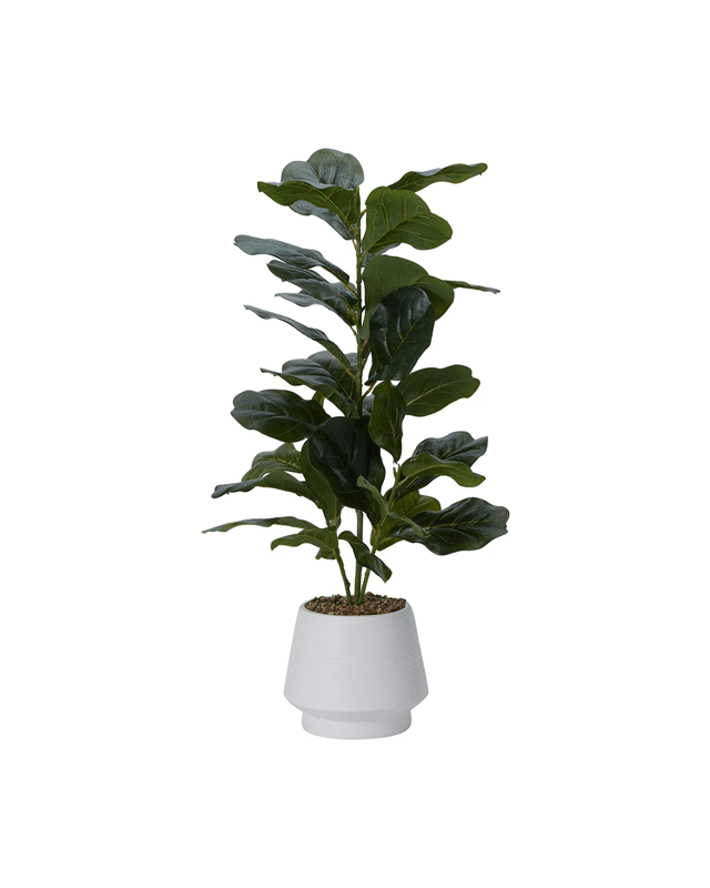 Artificial Fiddle Leaf in