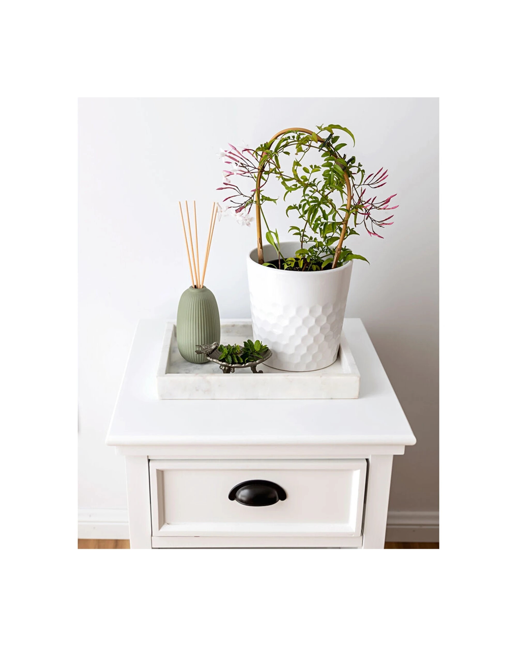 3 Bramble Bay Native Reed Diffuser Lemon Ironbark Scented Home Fragrance 150m - Green, 3 of 5