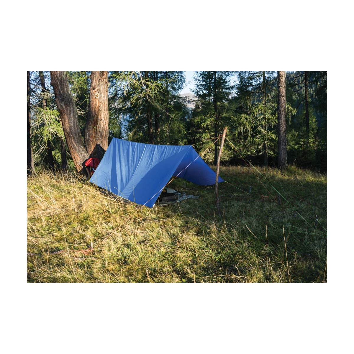 1 10' X 12' Tarp, 1 of 10