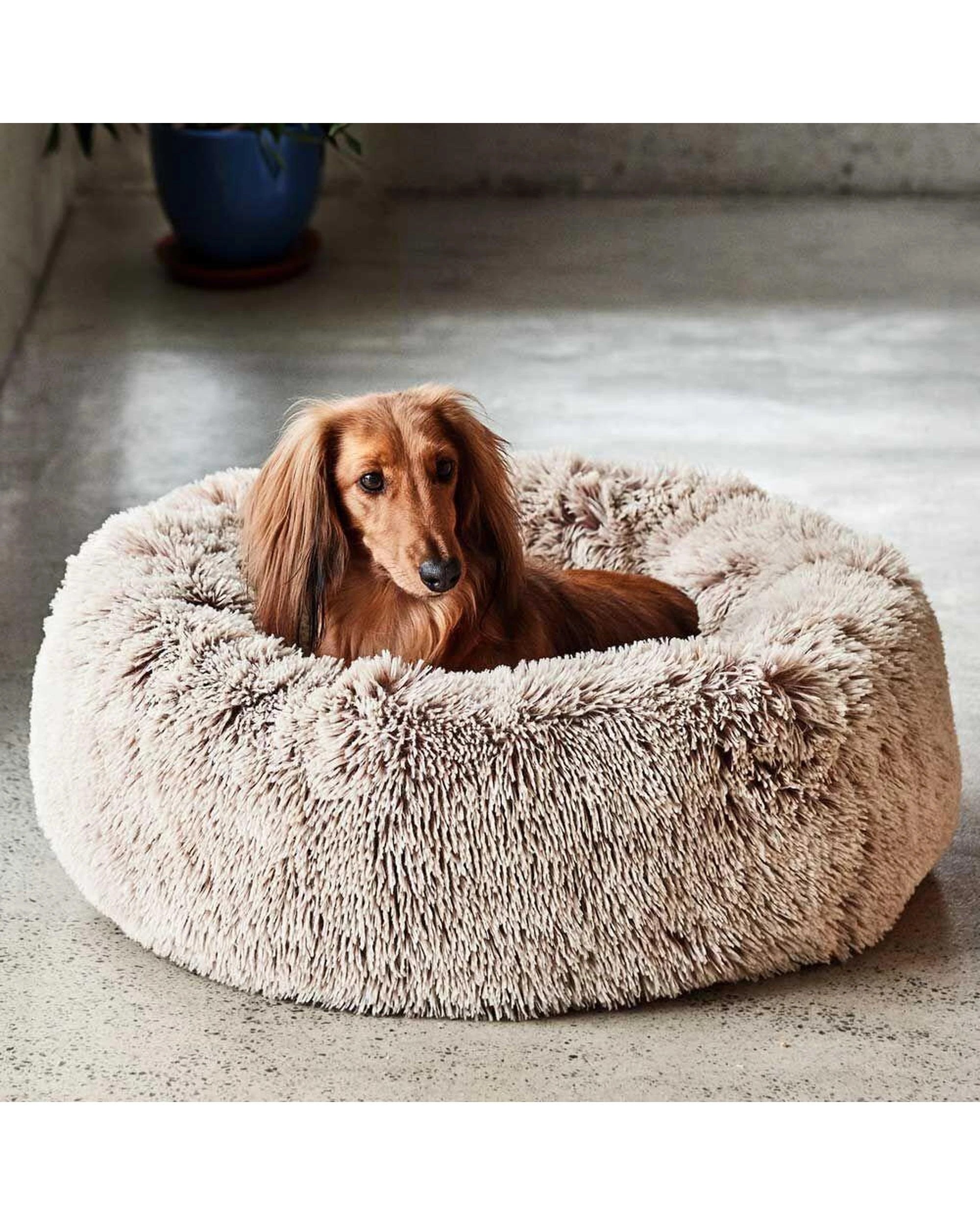 3 Snooza Calming Cuddler Plush Faux Fur Cosy Pet Dog Bed Mink Large, 3 of 5