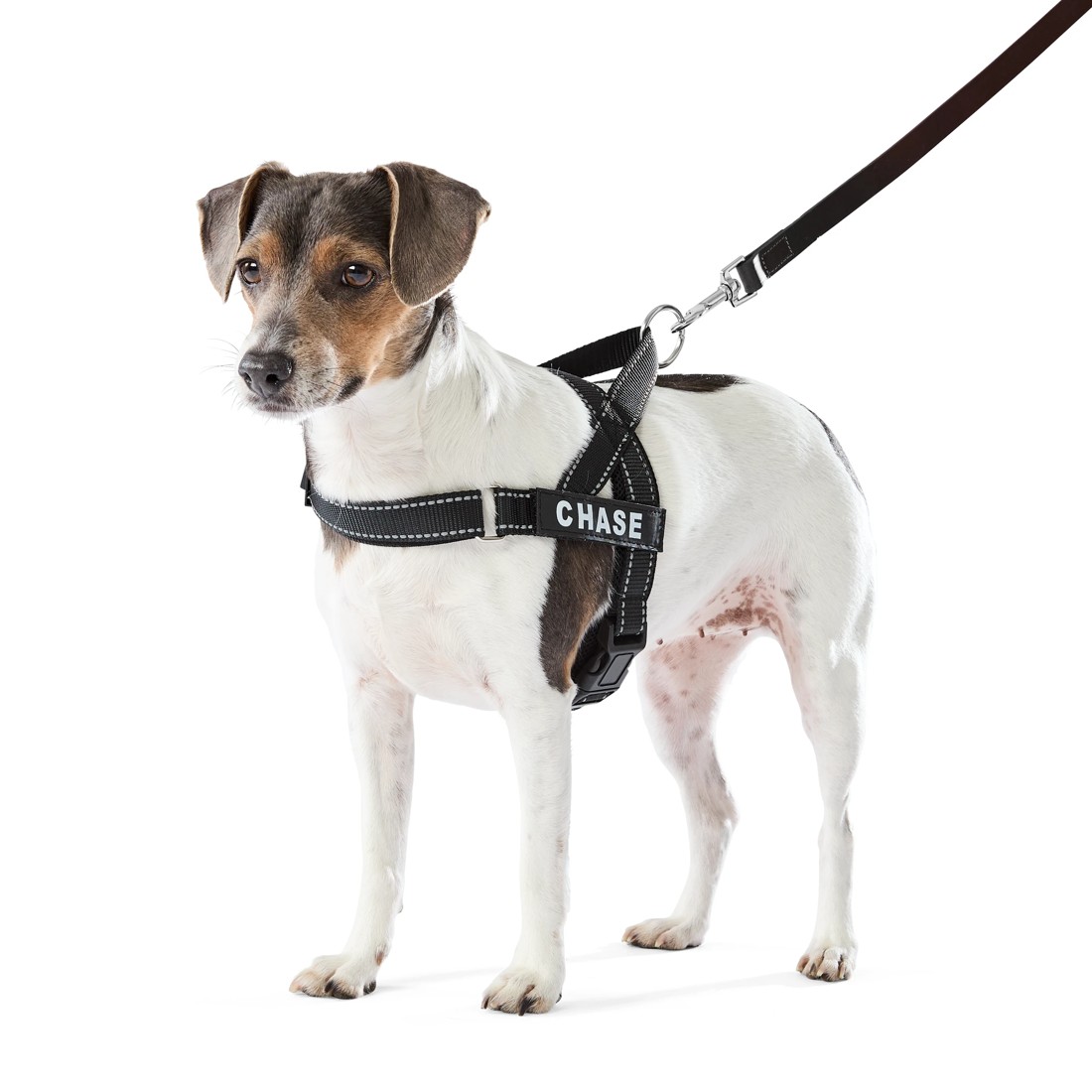 1 Pet Customisable Harness - Small, 1 of 10