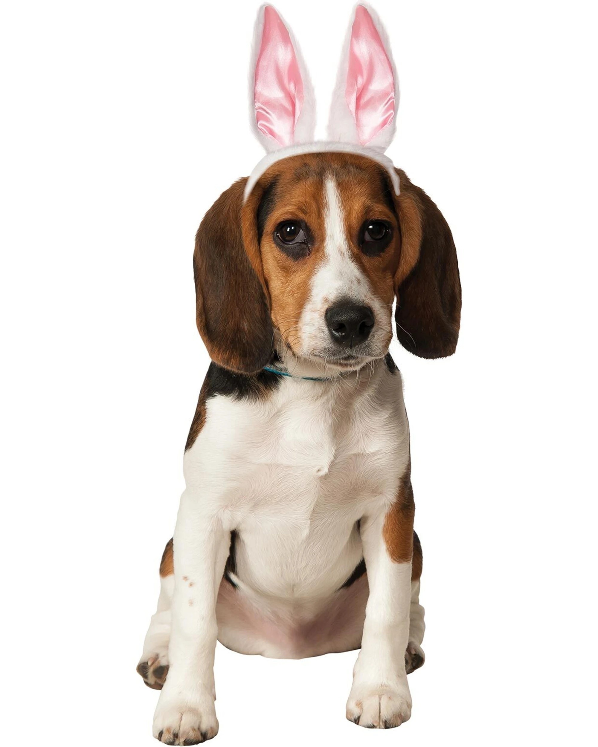 1 Rubies Bunny Ears Pet Accessory Dog Cat Size M L - Multi, 1 of 2