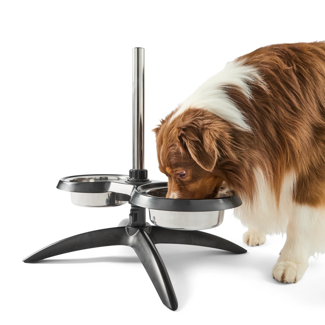 2 Pet Telescopic Feeder, 2 of 10