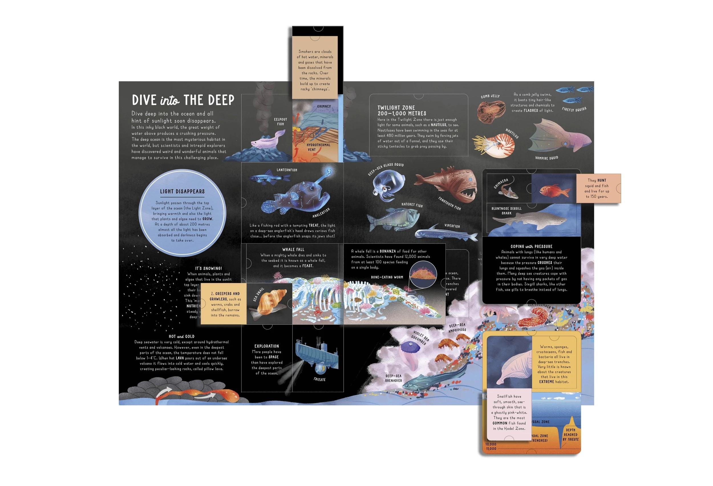 7 Lift-the-Flap Encyclopaedia of Oceans: 200 Flaps to Explore - Book, 7 of 9
