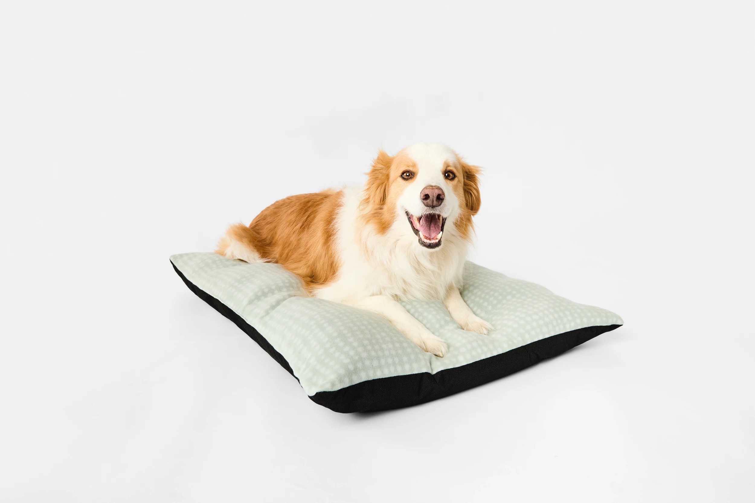 1 Pet Bed Rectangle Fleece - Large, 1 of 9