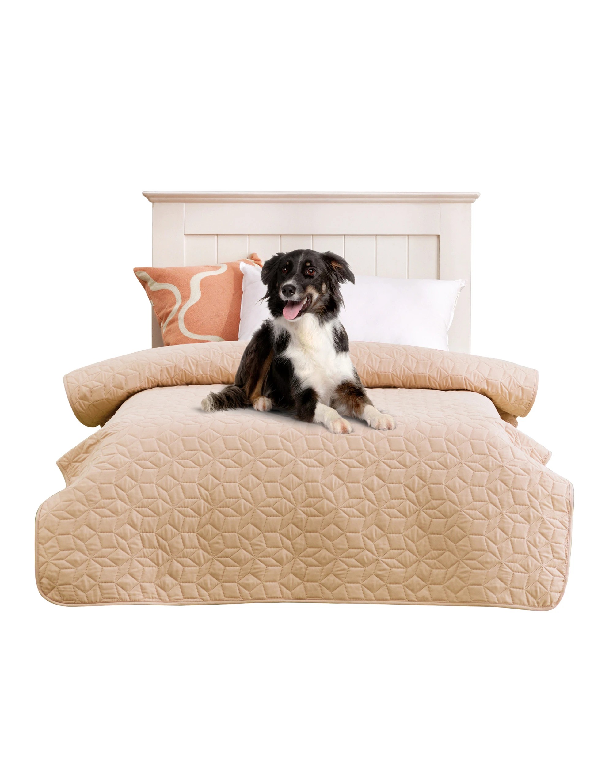 4 Charlie's Sofur Waterproof Dog Bed Cover Protector Single/King Single 132x208cm - King Single Bed - Oat, 4 of 10