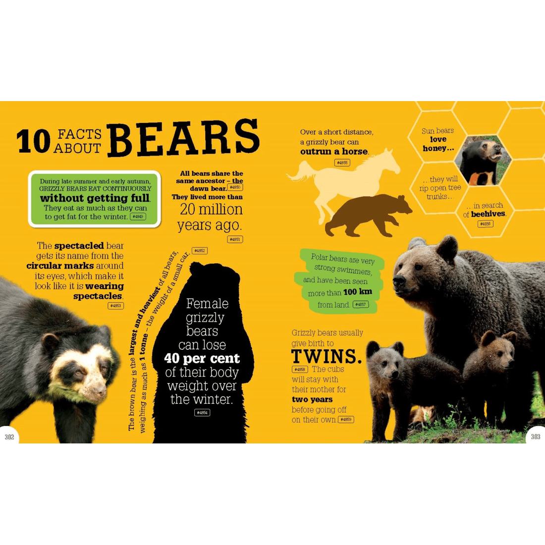 2 5000 Amazing Facts: Incredible But True Facts About Everything! - Book, 2 of 4