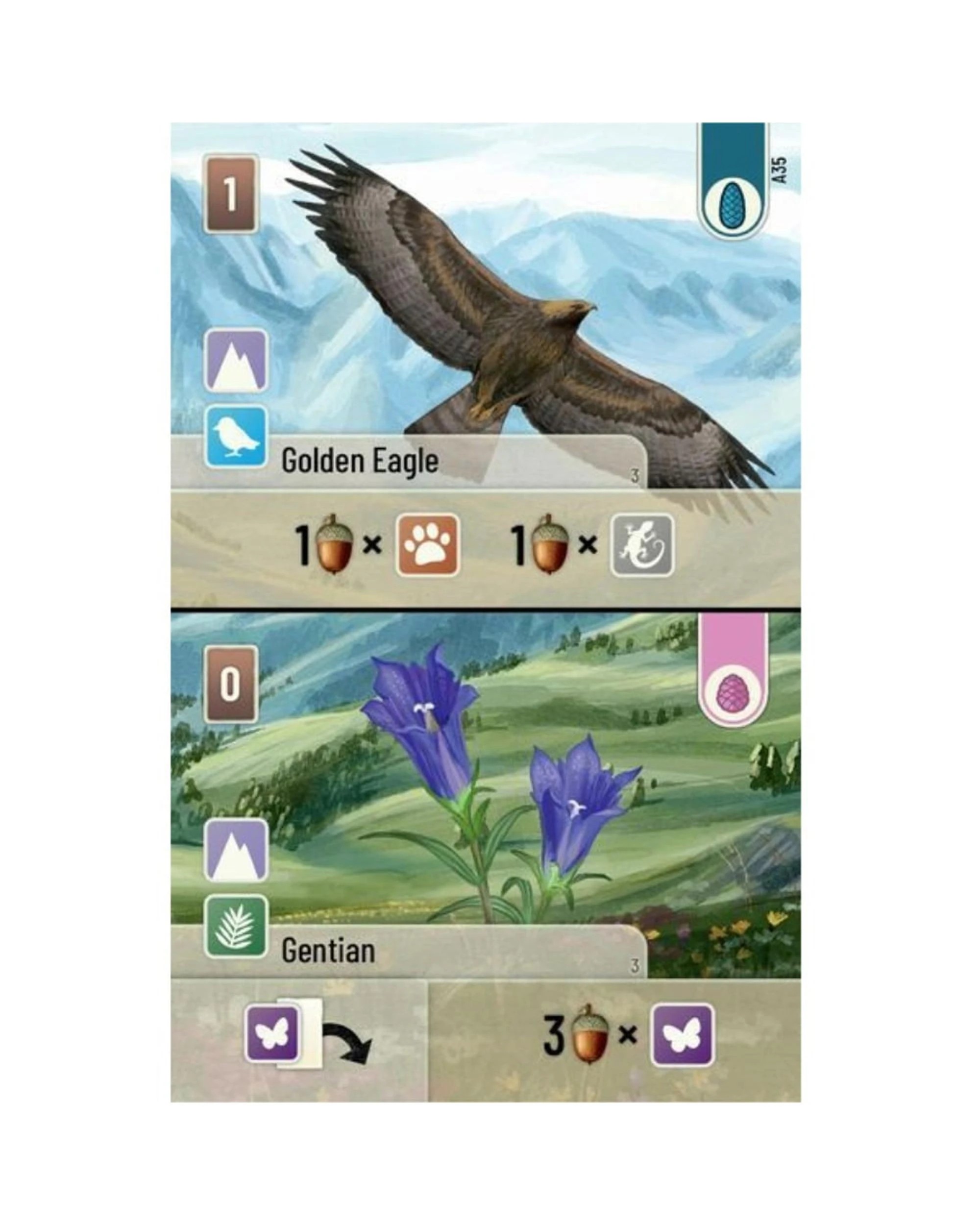 2 Forest Shuffle: Alpine Expansion, 2 of 3