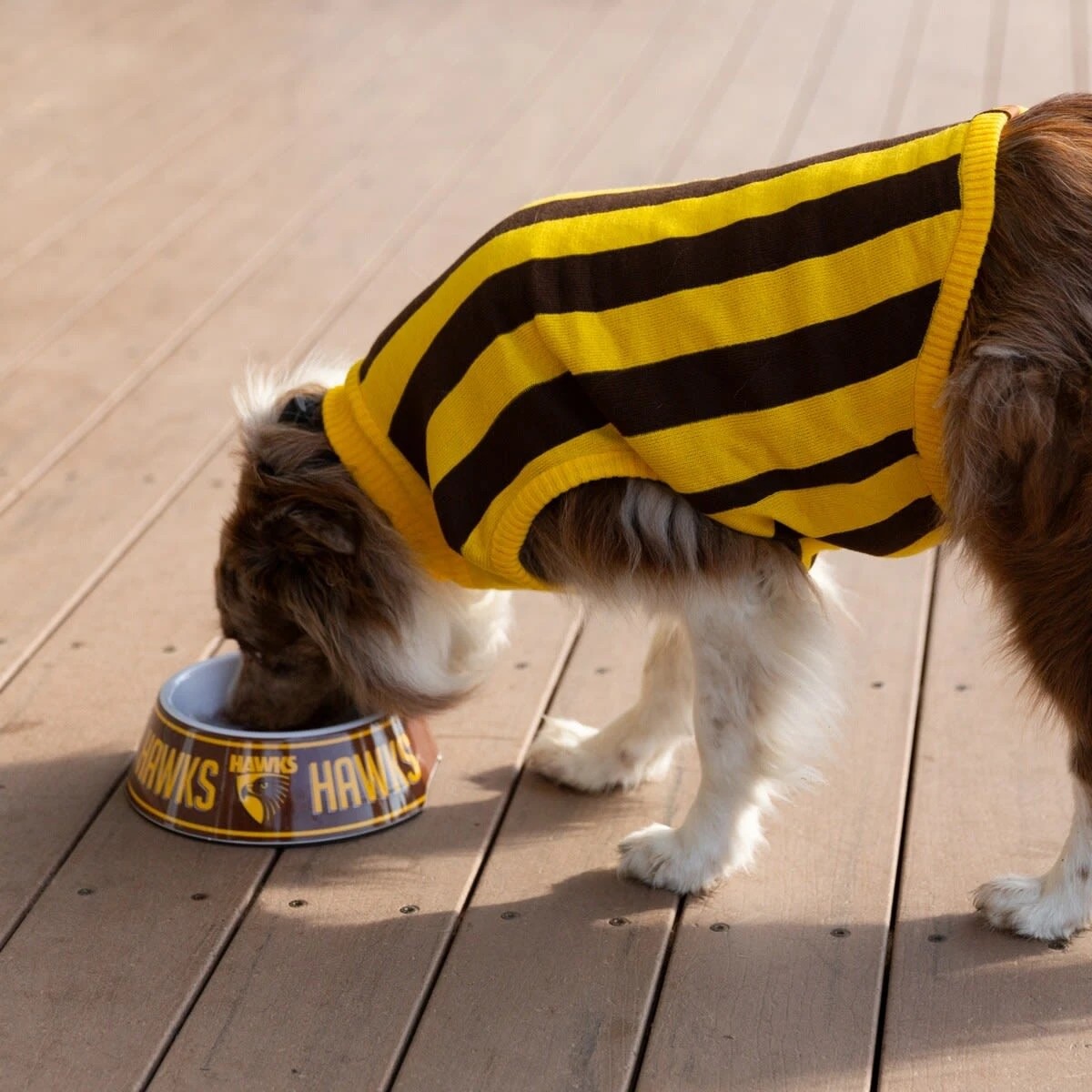 1 AFL Hawthorn Hawks Pet Jumper - Large, 1 of 4