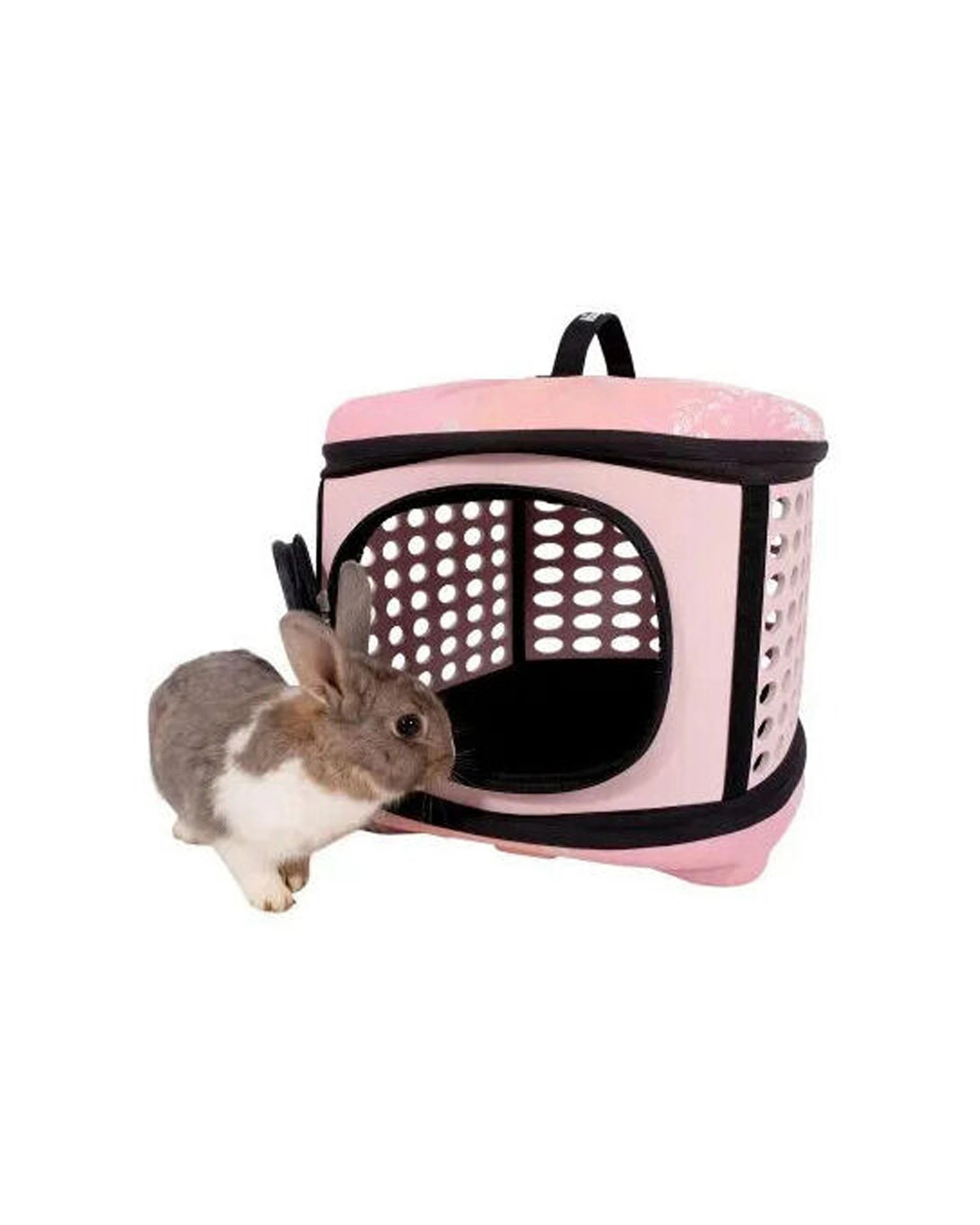 2 Ibiyaya Collapsible Travelling Hand Carrier 6kg EVA Mesh Ventilation Hard Case - Pink, 2 of 3