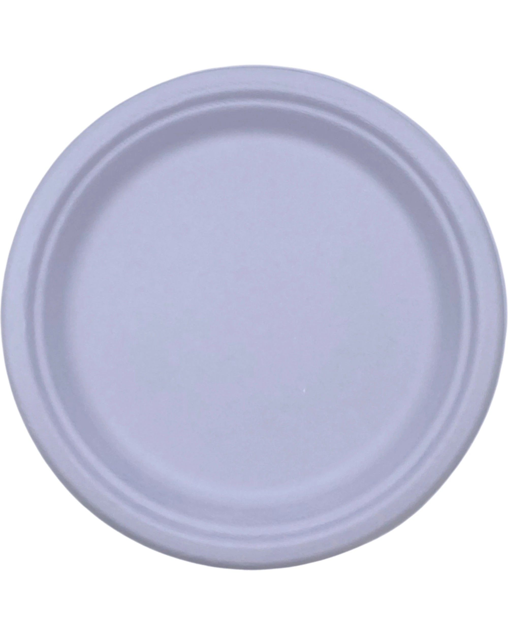 1 Partyware Pastel Sugar Cane Large Plates Pack of 25 - Purple, 1 of 3