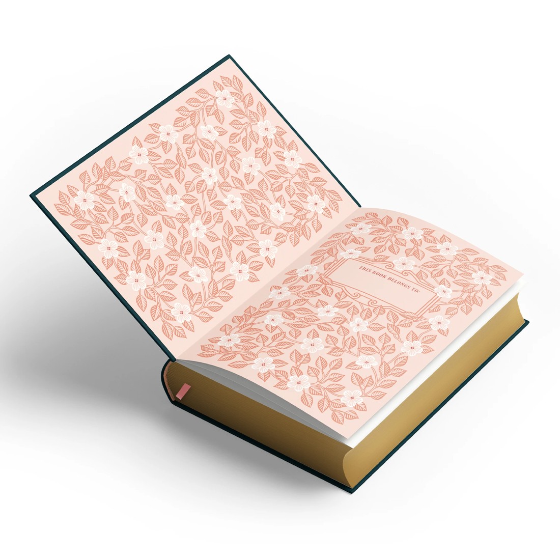 4 The Twilight Saga Deluxe Collection by Stephenie Meyer - Book, 4 of 5