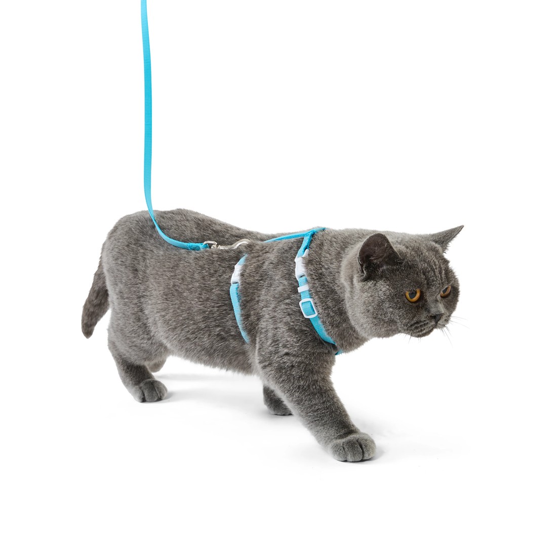 2 Cat Harness and Lead Set - Assorted, 2 of 10