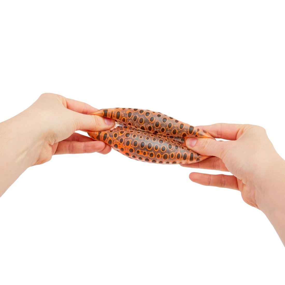 9 ToyMania The Sensory Toy Box - Assorted, 9 of 9