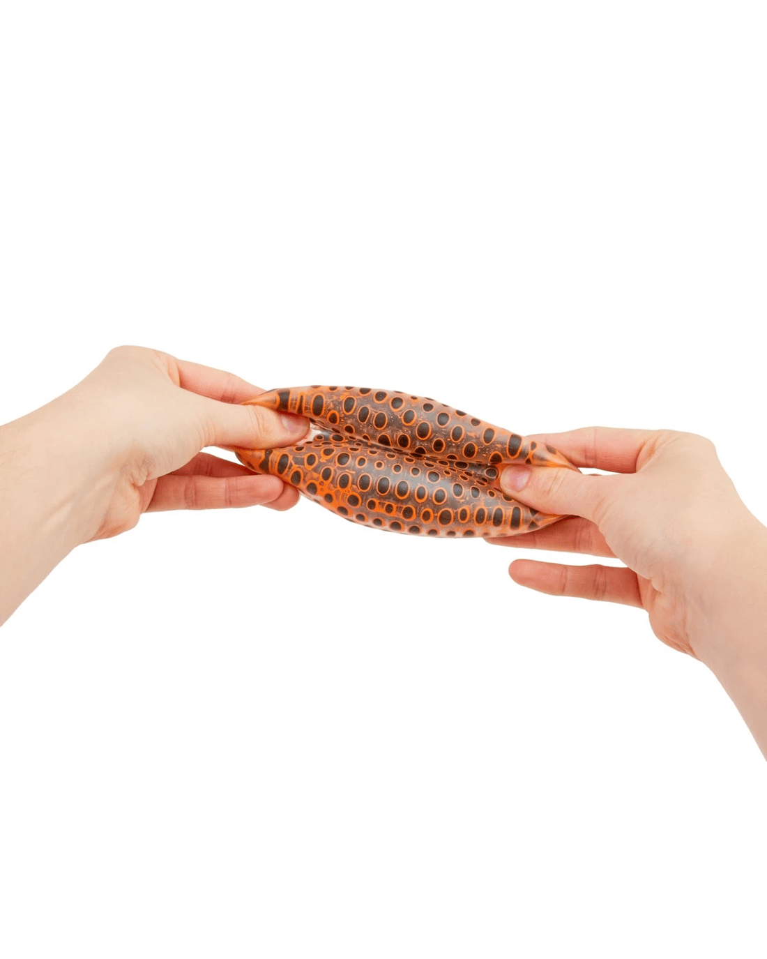 9 ToyMania The Sensory Toy Box - Assorted, 9 of 9