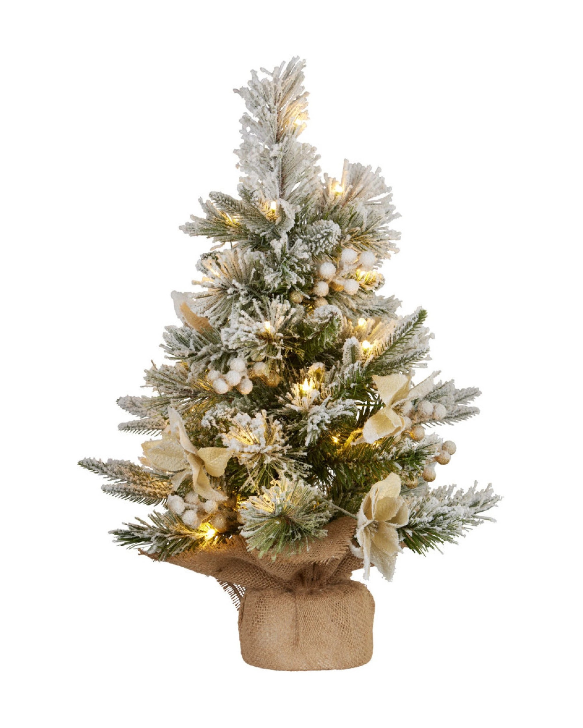 1 Christabelle 2ft Christmas Tree With Lights - Potted Frosted Colonial, 1 of 1