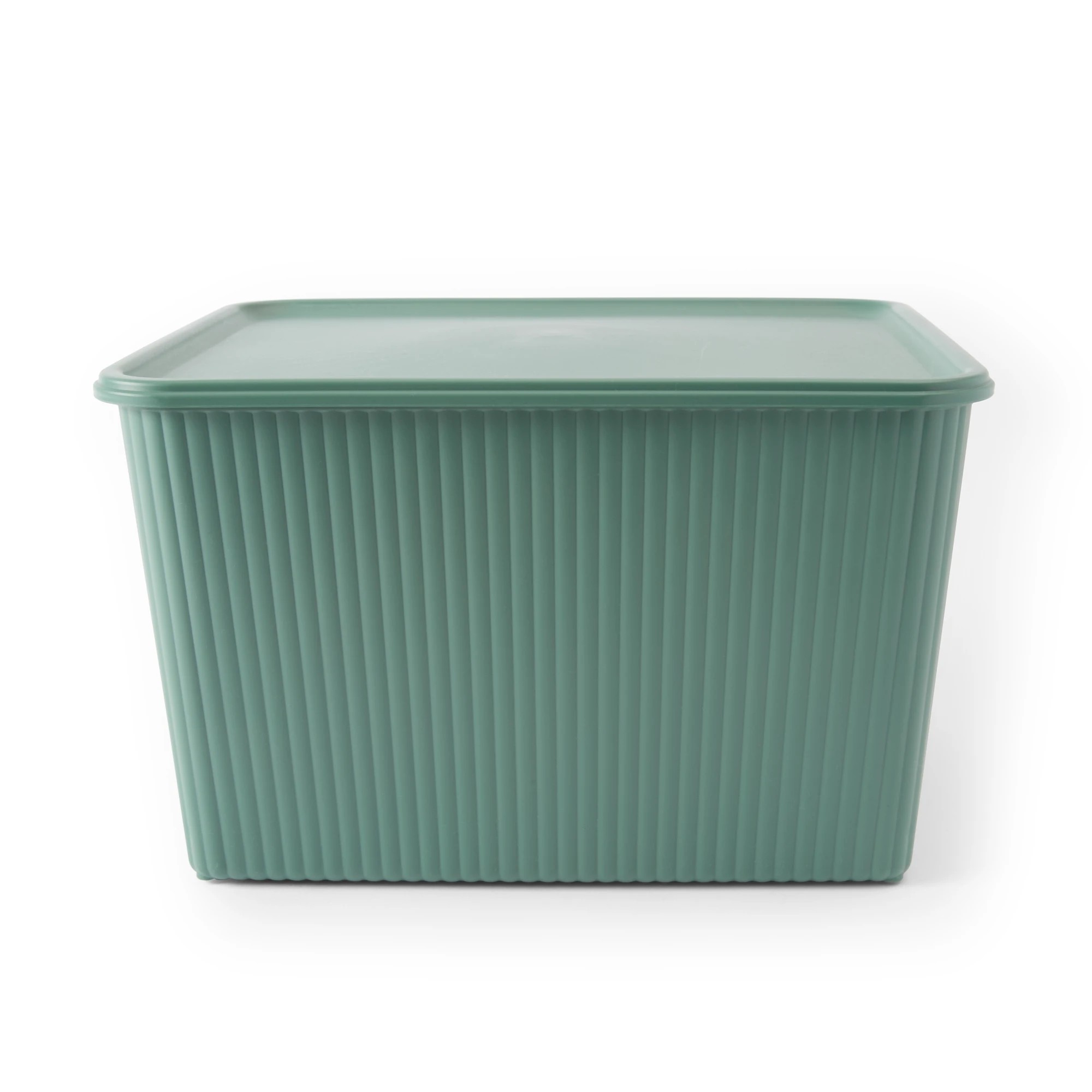 4 18L Ribbed Container - Green, 4 of 9