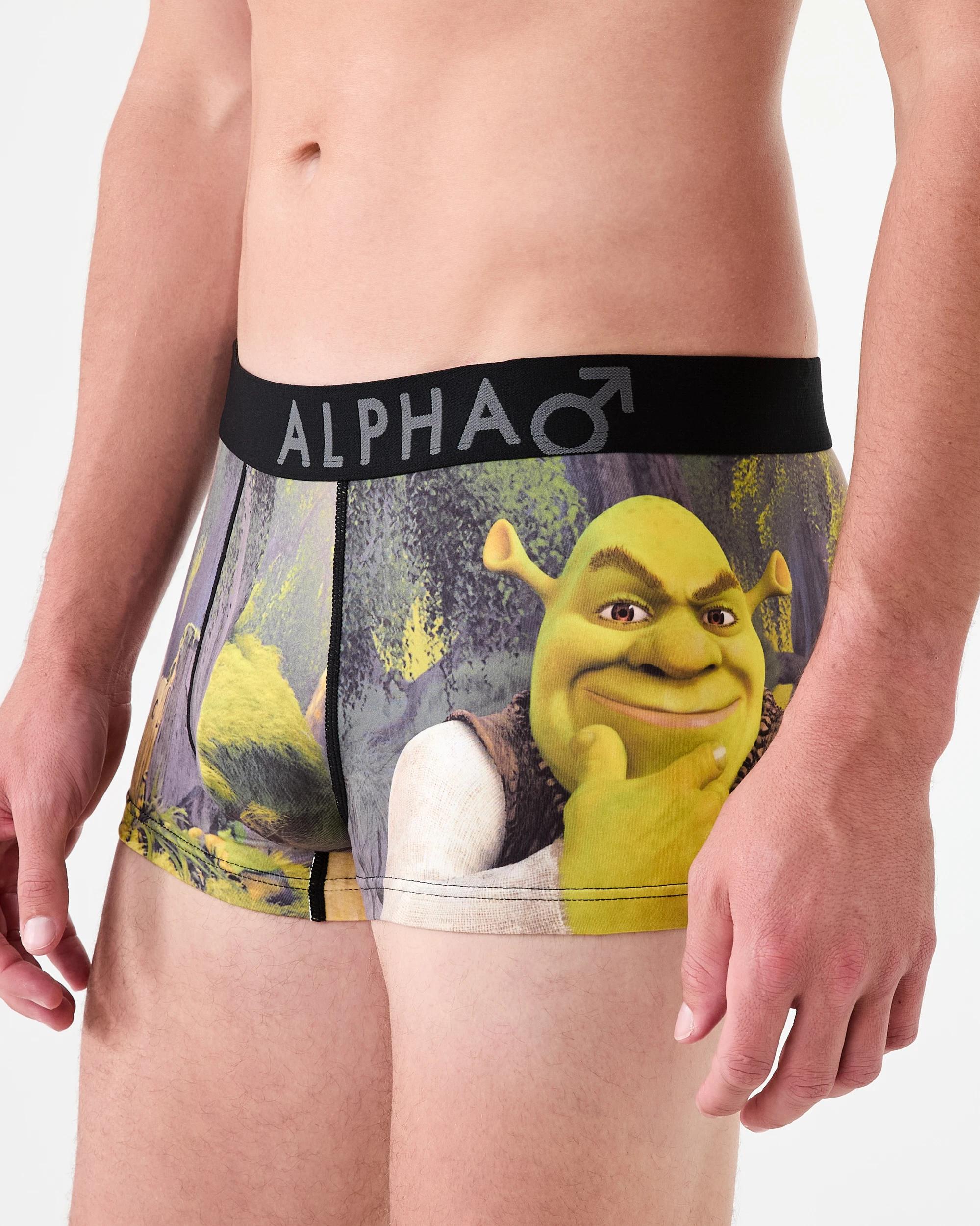 2 License Print Trunks Shrek W26, 2 of 6