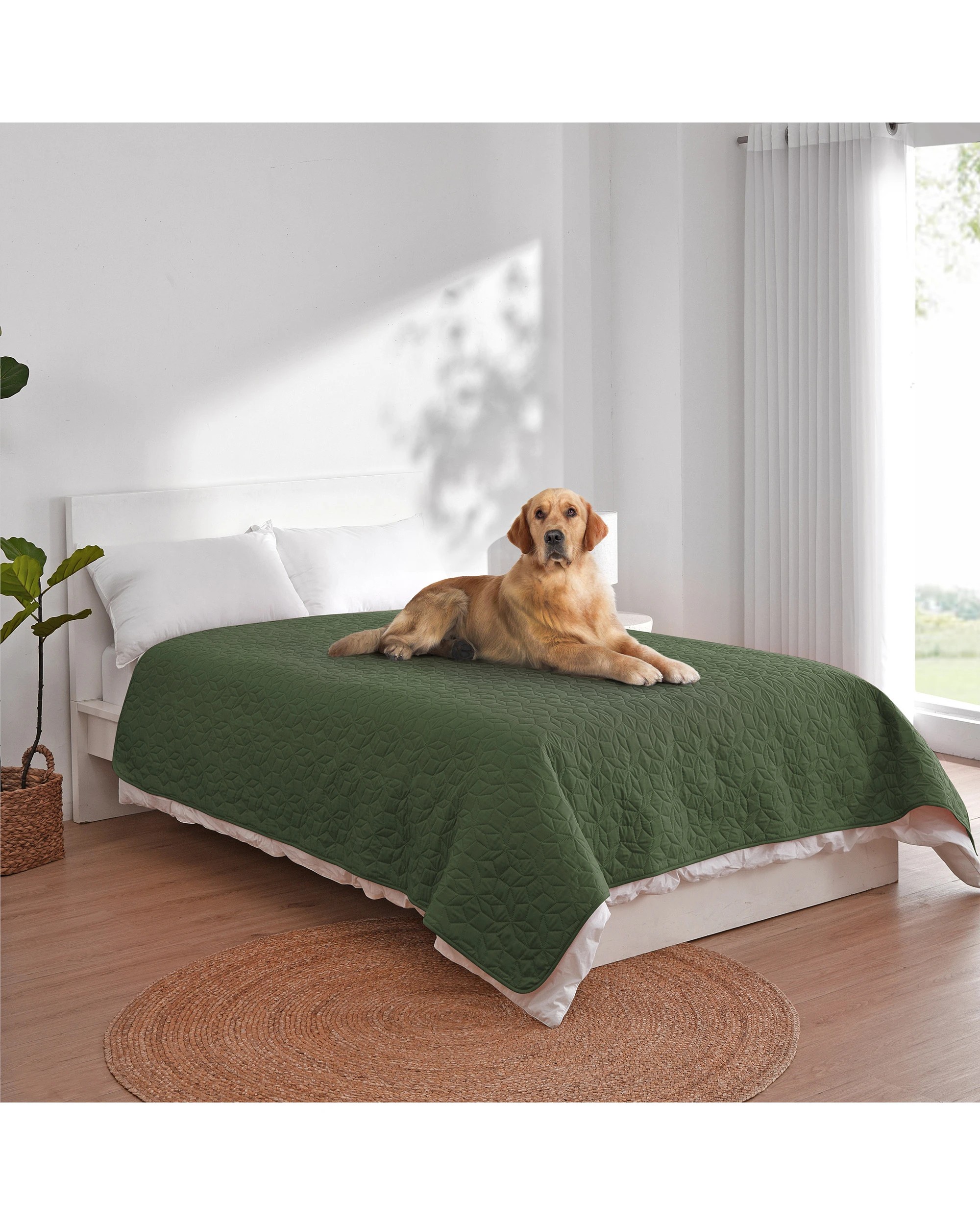 2 Charlie's Sofur Waterproof Dog Bed Cover Protector Double/Queen 208x208cm - Double/Queen - Olive, 2 of 10