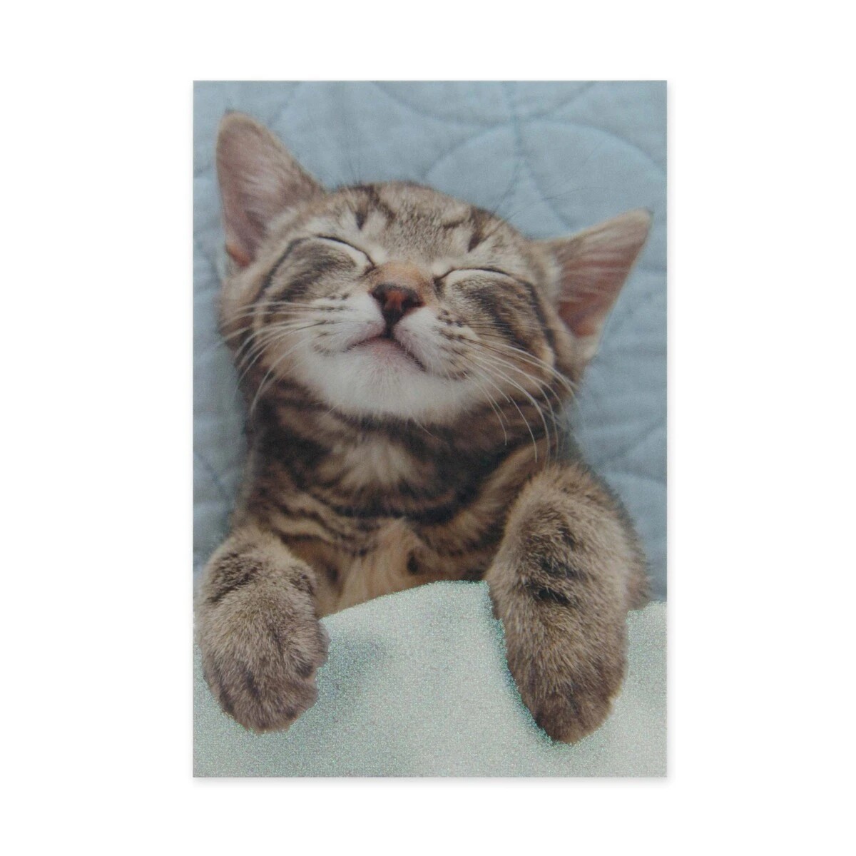 3 Connections from Hallmark Greeting Card - Sleepy Kitty, Warm Kitty, 3 of 3