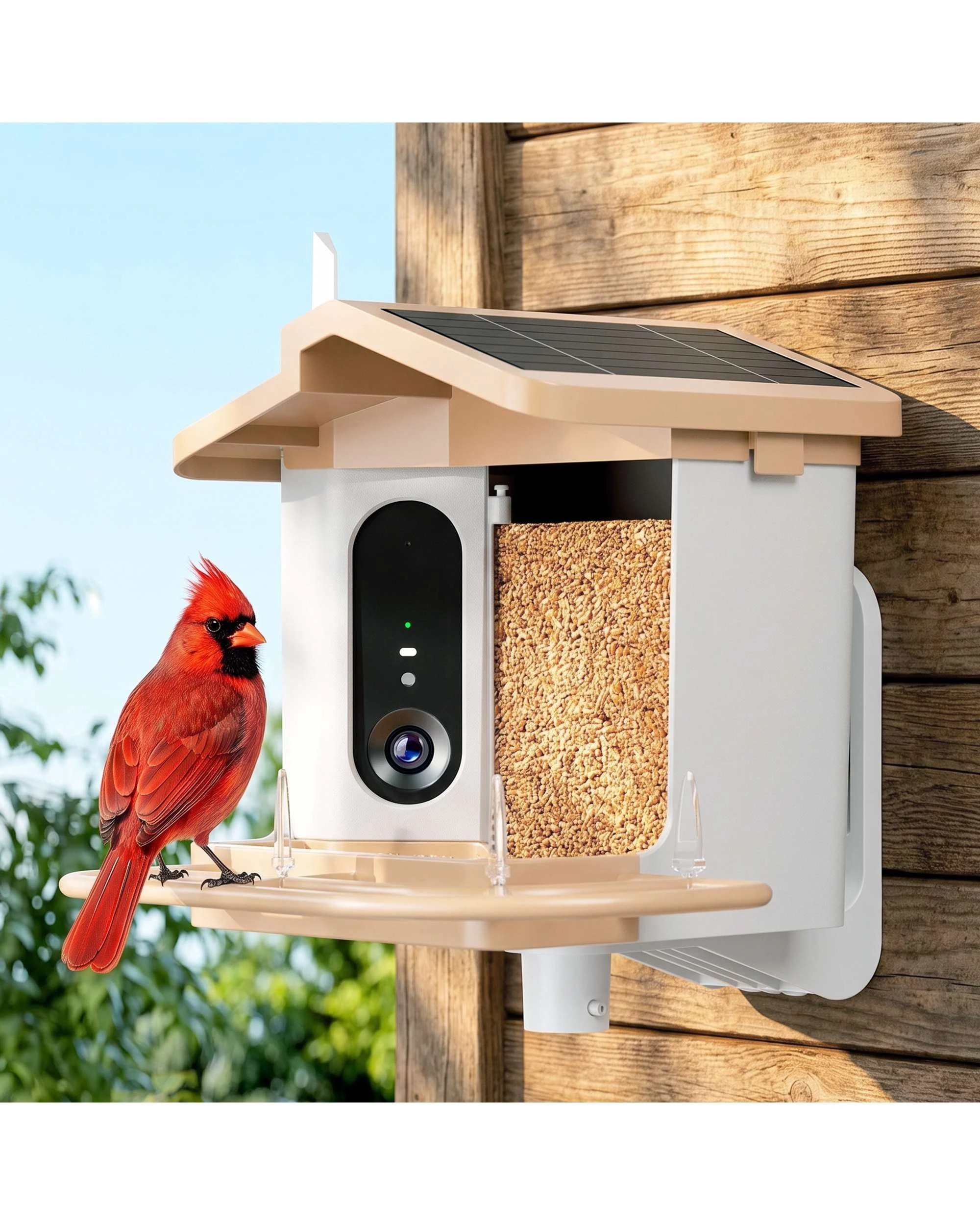 3 Advwin Smart Bird Feeder with Camera Solar Powered 4K HD Live Video, 3 of 10